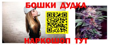 гашик Обнинск