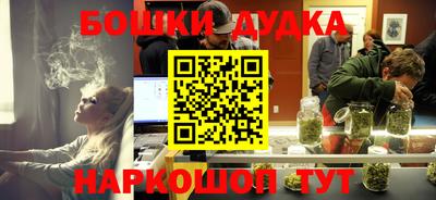 прущие грибы Новозыбков