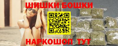 прущие грибы Новозыбков