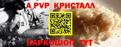 прущие грибы Новозыбков