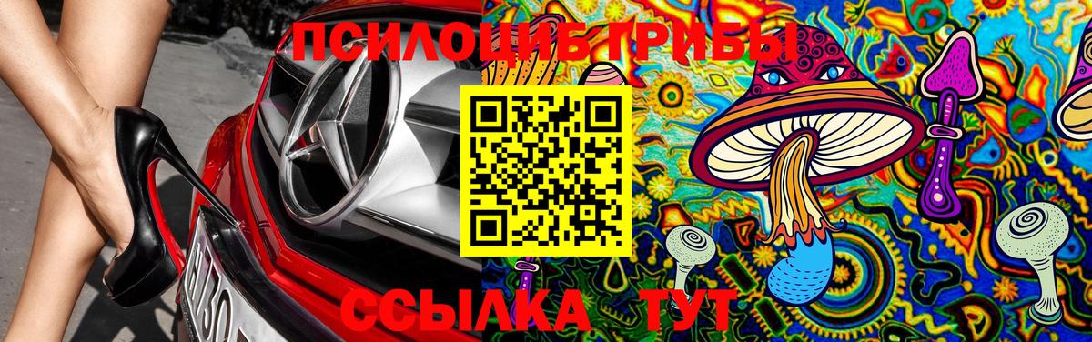 Сатка  Галлюциногенные грибы Cubensis  Вход с VPN 